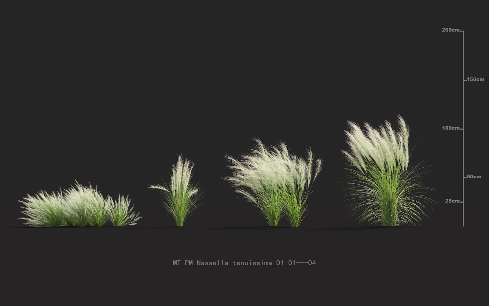 Maxtree - Plant Models Vol.20