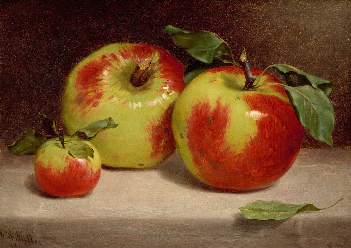 Study of Apples from Nature 1863