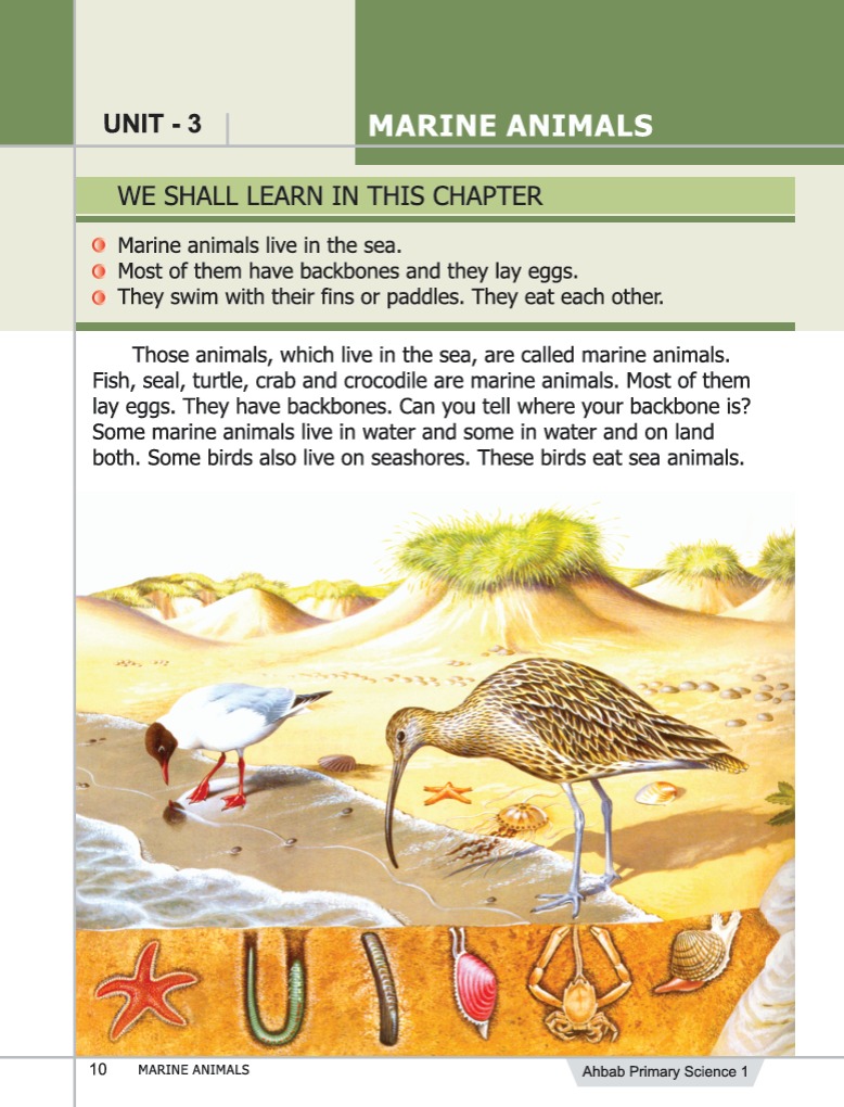 Science Book 1