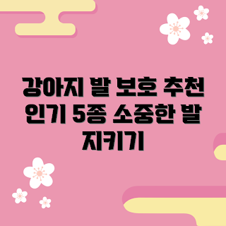 강아지다리보호대, 반려견 용품, 강아지 건강, 애완동물 보호대, 초보자 가이드
