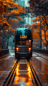 Double Decker Tram on Rainy Autumn City Tracks Reflection
