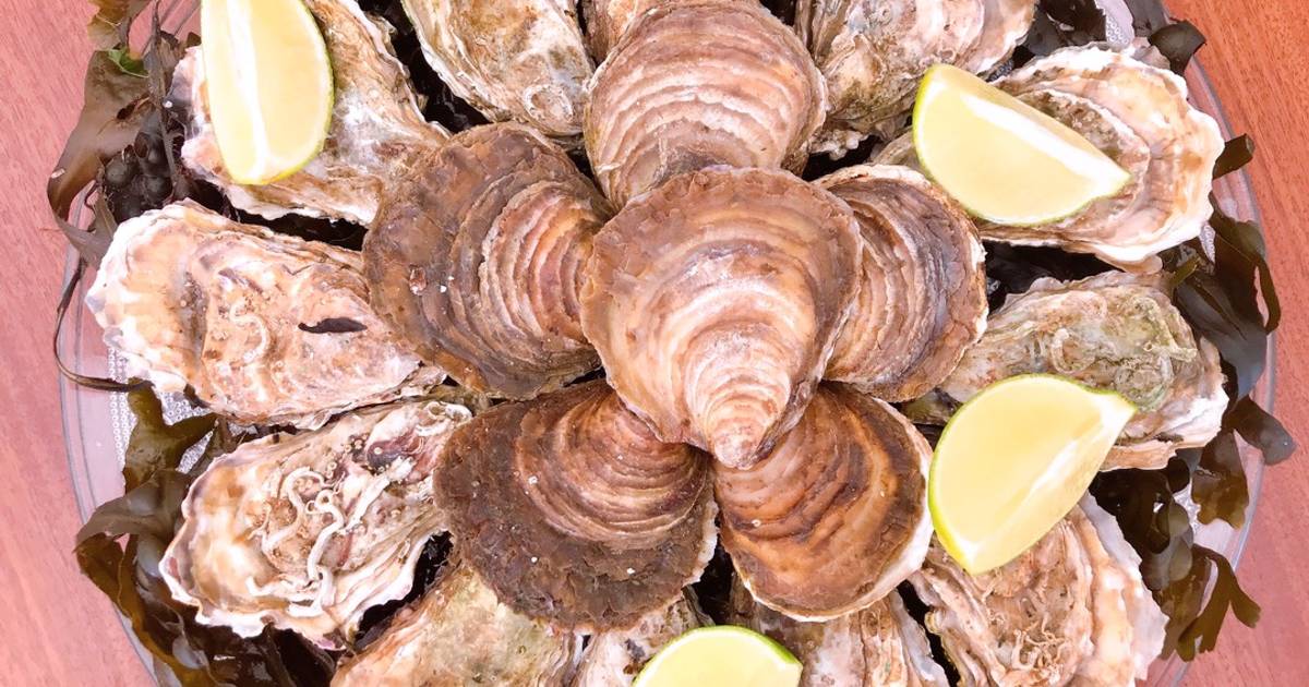 Hàu Tươi Tái Chanh 🦪