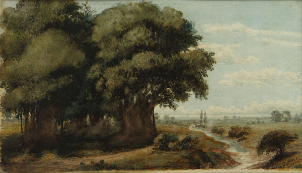 Caprocho Olivos 13 Nov 1858 Between 1840 And 1870