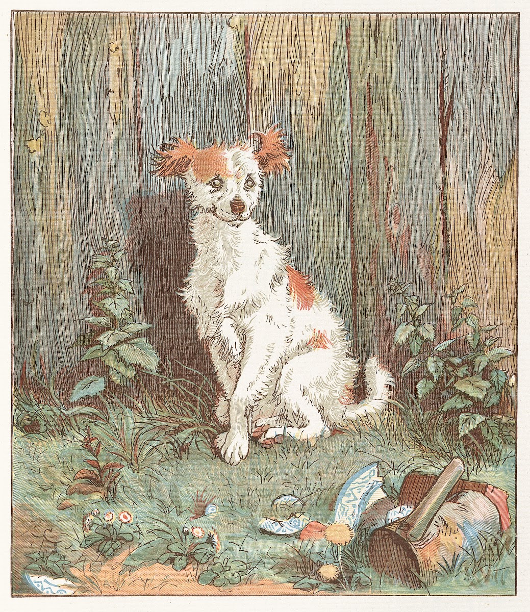 The Mad Dog Pl 5 1887