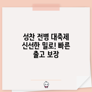 성찬전병 가격, 성찬식전병 추천, 빠른출고 성찬전병, 성찬 제품 비교, 성찬식 초보