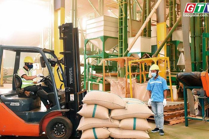 Toàn cảnh Gia Lai 24h: 6 doanh nghiệp Gia Lai được chọn tham gia Chương trình 1.000 doanh nghiệp tiên phong - Báo Gia Lai