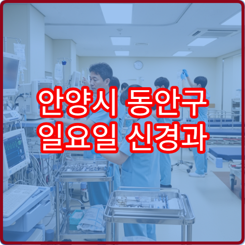 안양시 동안구 일요일 신경과 진료 병원 두통·어지러움 상담 가능