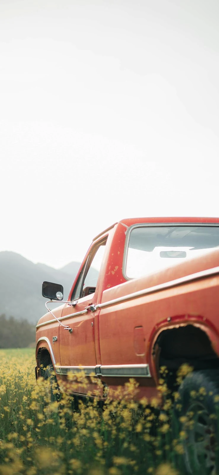 Vintage Truck In Yellow Field - Cinematic Portrait 4K iPhone Wallpaper (2525x5470)