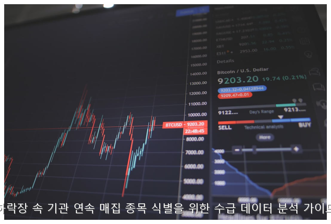 하락장 속 기관 연속 매집 종목 식별을 위한 수급 데이터 분석 가이드 핵심 안내 및 분석 인포그래픽 (5)