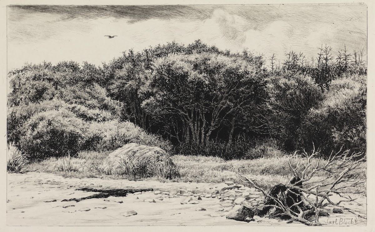 Parti I HornbæKplantagen 1883