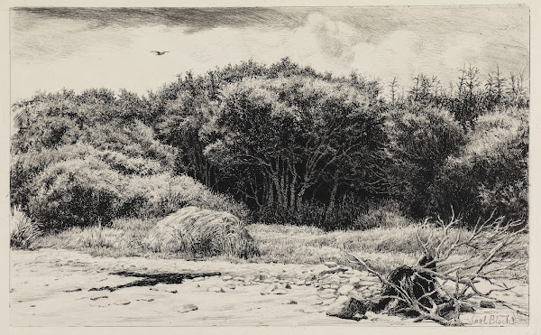 Parti I HornbæKplantagen 1883