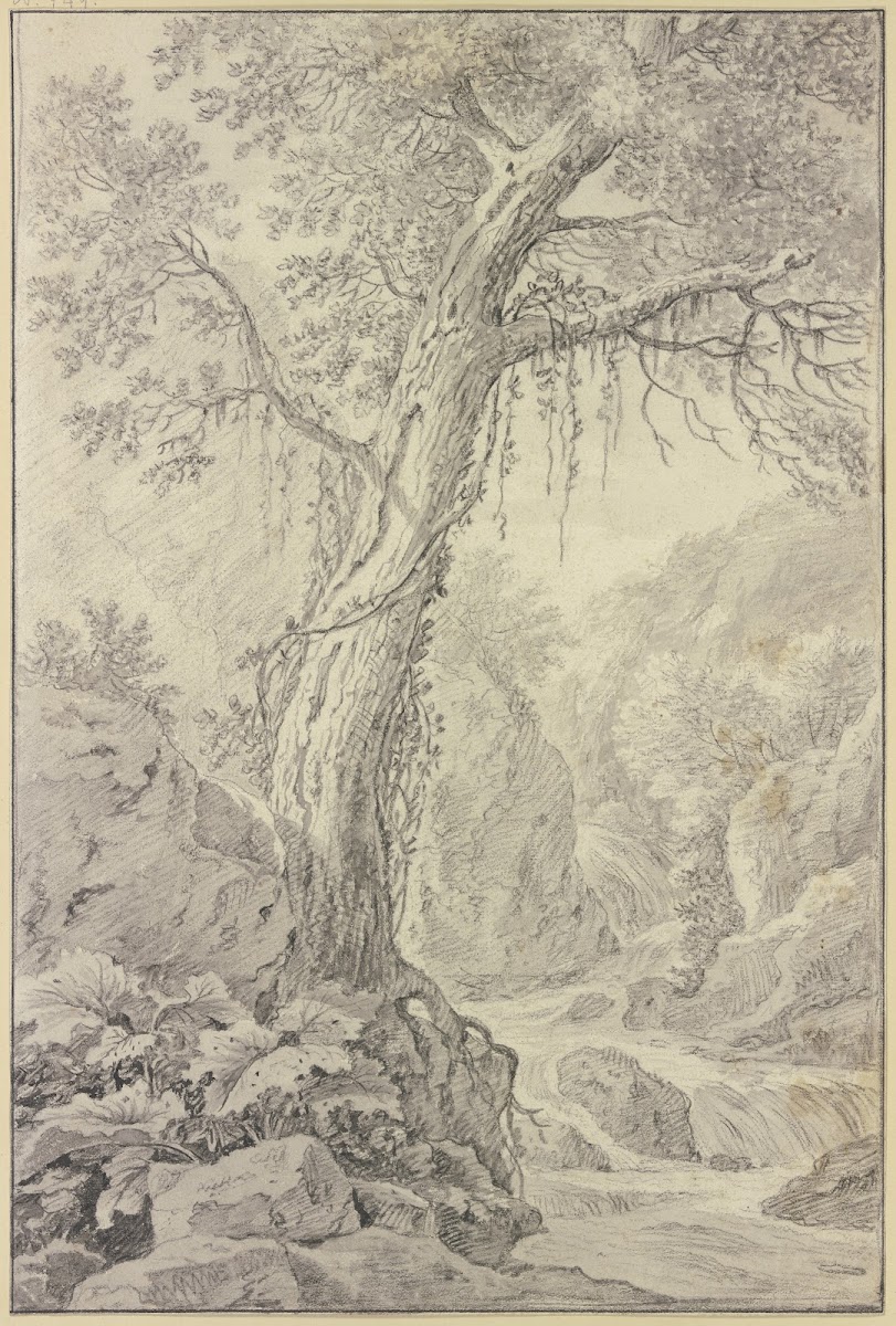 Wasserfall dabei ein großer Baum