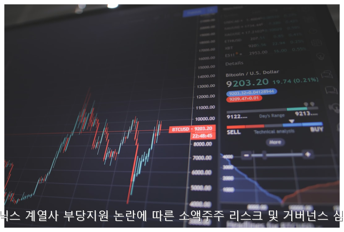 SK하이닉스 계열사 부당지원 논란에 따른 소액주주 리스크 및 거버넌스 심층 분석 핵심 안내 및 분석 인포그래픽 (4)