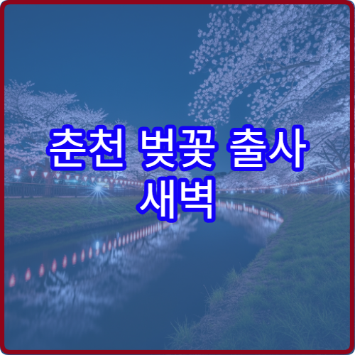 춘천 벚꽃 출사 새벽 6시 소양강 스카이워크 반사 명소