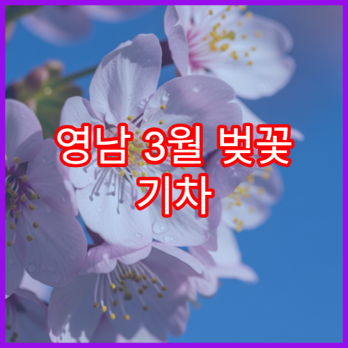 영남 3월 벚꽃 기차 여행 추천 노선 모음
