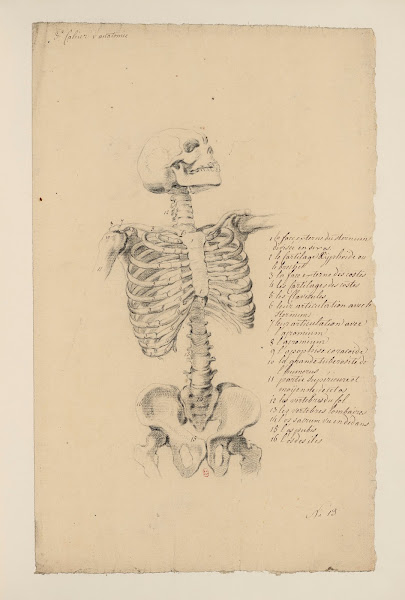 Cahiers dAnatomie Pl12 18th Century