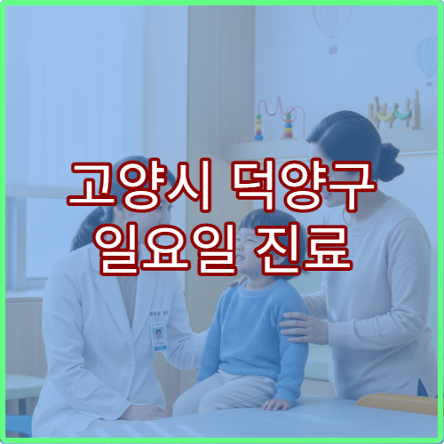 고양시 덕양구 일요일 진료 내과 병원 감기·소화불량·위장 질환 상담 가능