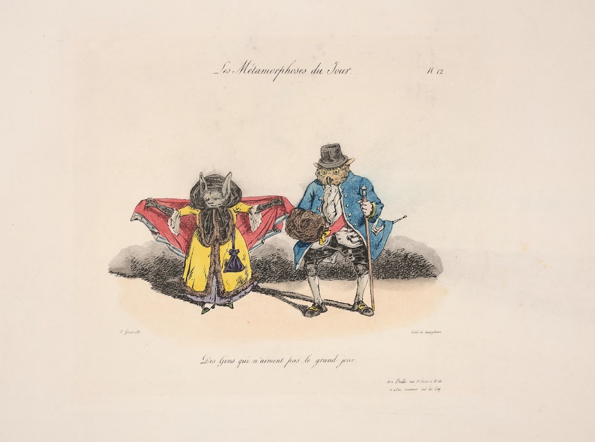 The metamorphoses of the day no 12 People who dislike the big day 1829