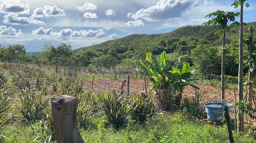 Fazenda no Município de Olhos D’água - MG 10