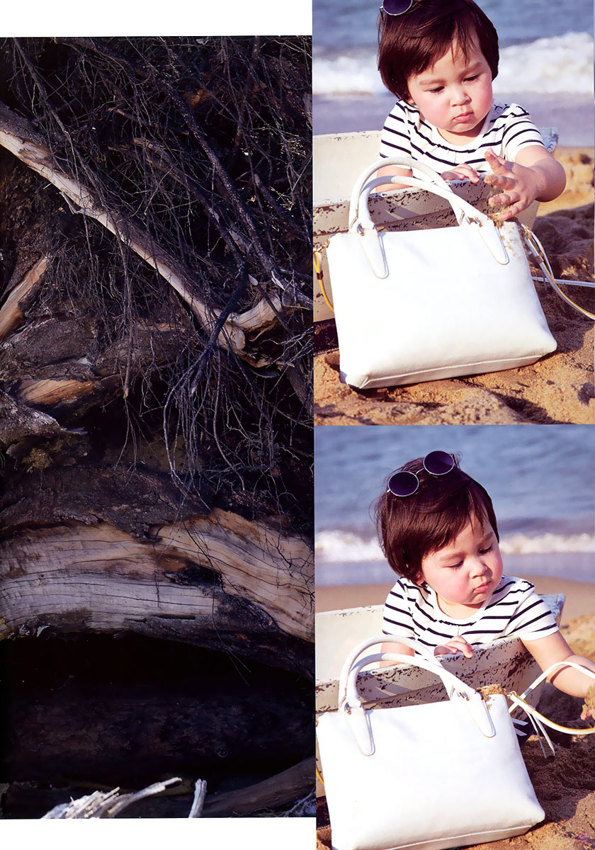  แพรว 831 : แหม่ม-คัทลียา 