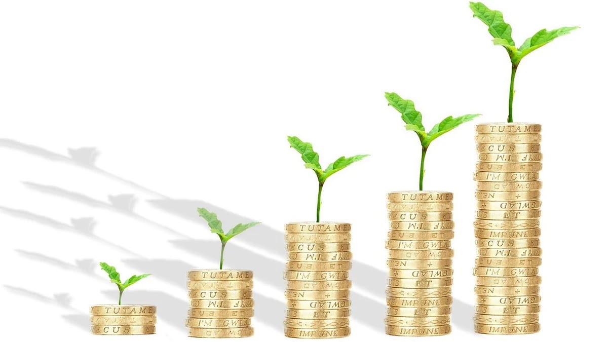 정부의 금리 정책이 서민 경제에 미치는 영향 이해하기