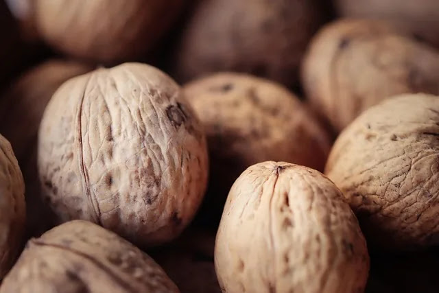 중장년층 단백질 하루 권장 섭취량과 추천 식단 가이드