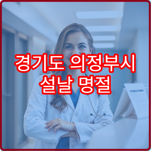 경기도 의정부시 설날 명절 이비인후과 연휴 진료 병원 코감기·인후통·알레르기 상담 가능
