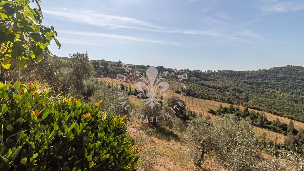 קסם כפרי באורבייטו (Orvieto) — 20