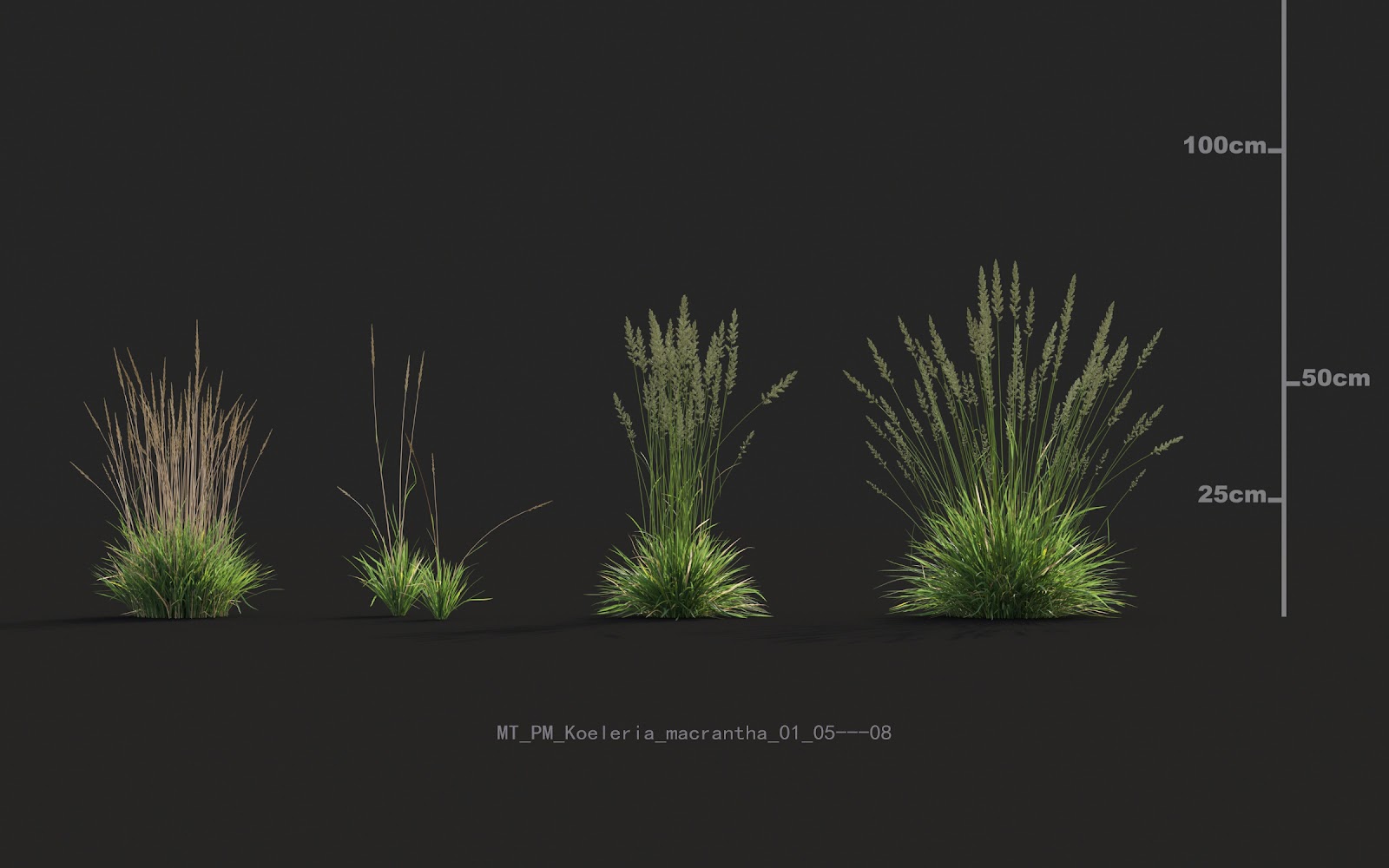 Maxtree - Plant Models Vol.20