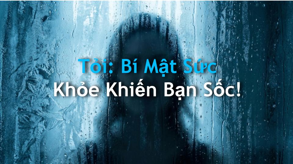 Tỏi: Bí Mật Sức Khỏe Khiến Bạn Sốc!