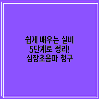 심장초음파 실비 청구, 심장초음파 보험, 실비 청구 방법, 건강검진 보험, 초음파 검사 비용