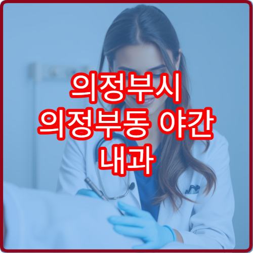 의정부시 의정부동 야간 내과 복통 발열 진료 가능한 병원 정보