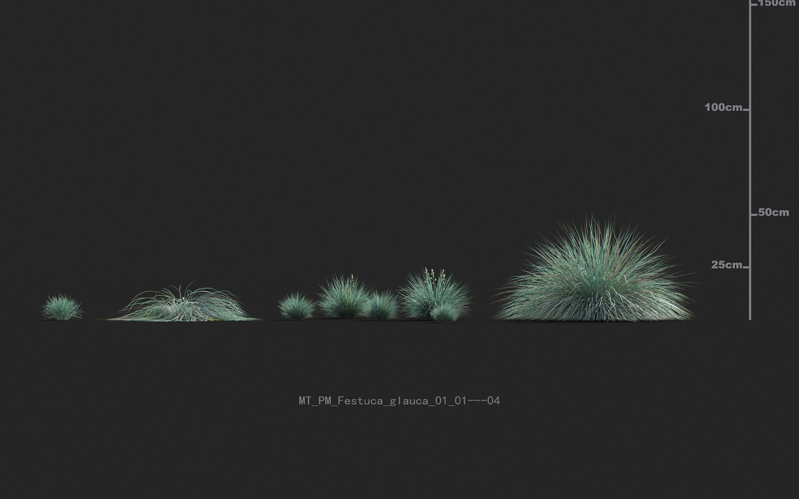 Maxtree - Plant Models Vol.20