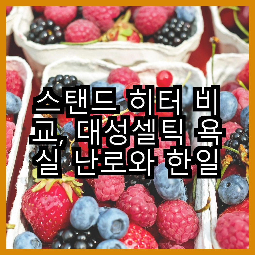 스탠드 히터 비교, 대성셀틱 욕실 난로와 한일전기 2kw 컨벡터 난방기의 특별한 장점은? 썸네일