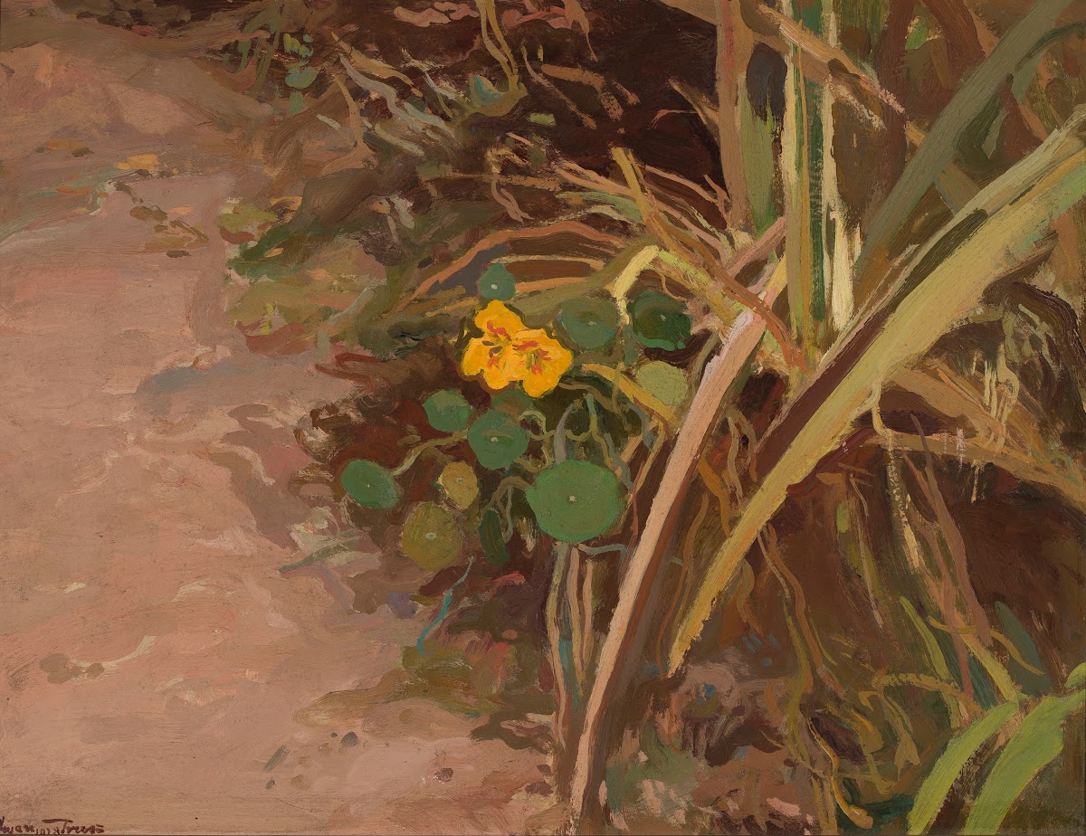 Nasturtiums Solitary 1928