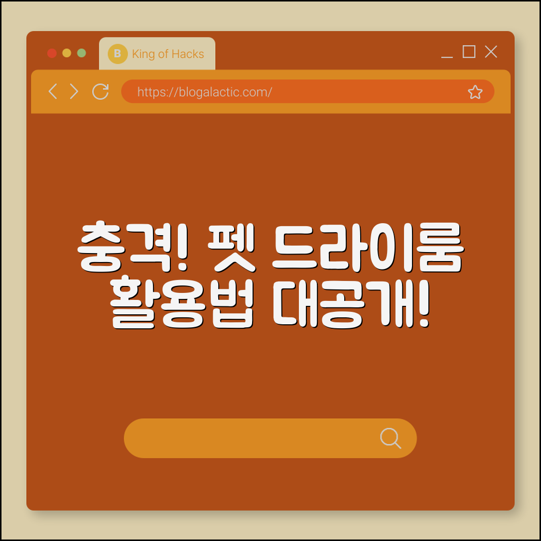 충격적인 펫 드라이룸 활용법 대공개!