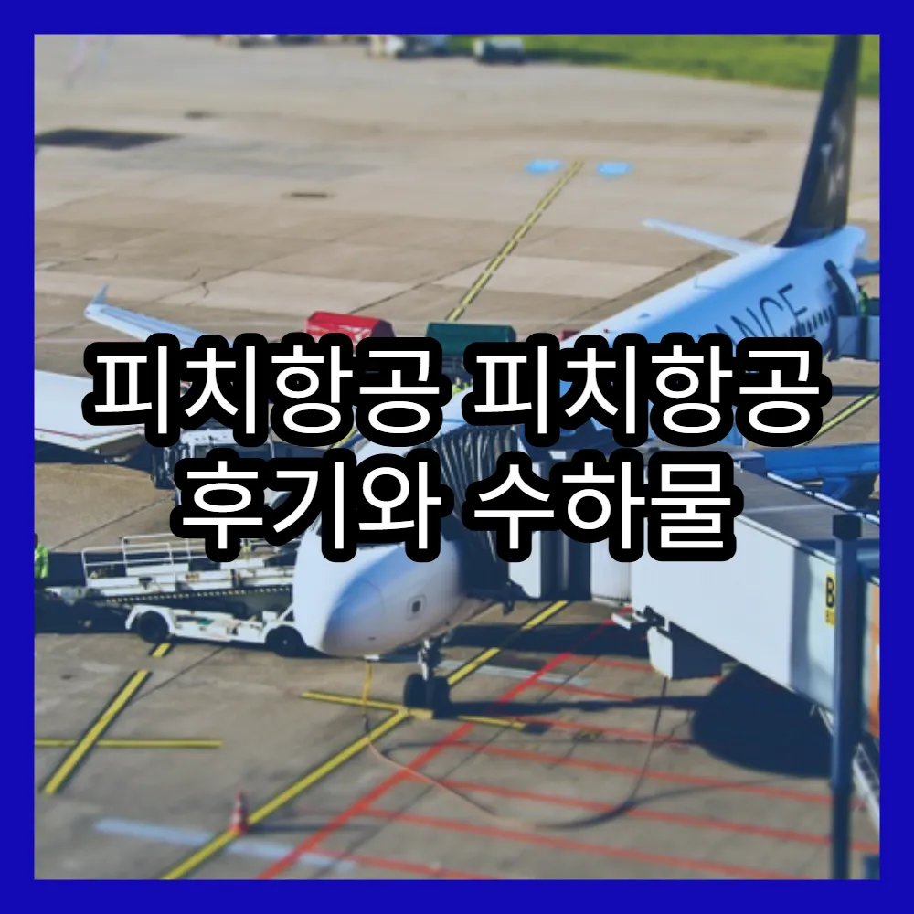 피치항공 피치항공 후기와 수하물 규정, 체크인 방법