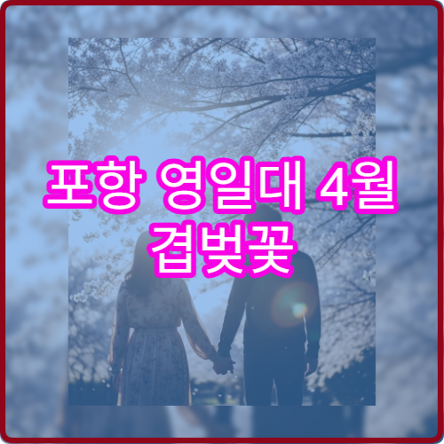 포항 영일대 4월 겹벚꽃 비오는날 대체 카페 테라스 뷰 명소 추천