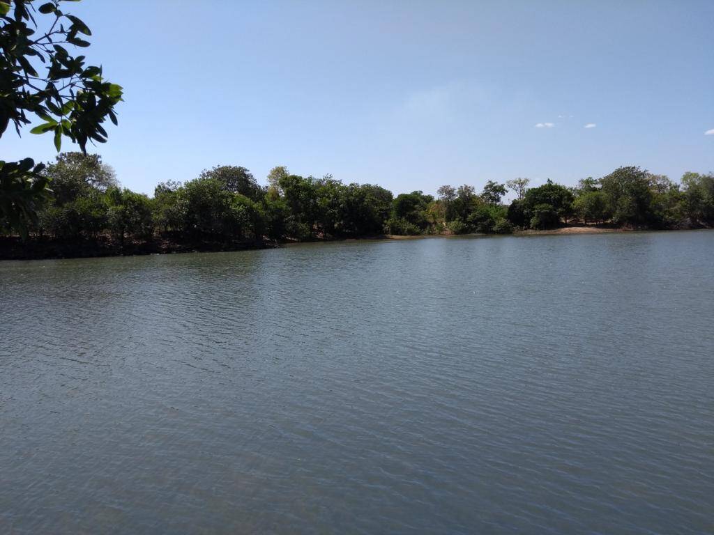 Fazenda em São Félix do Araguaia-MT 10