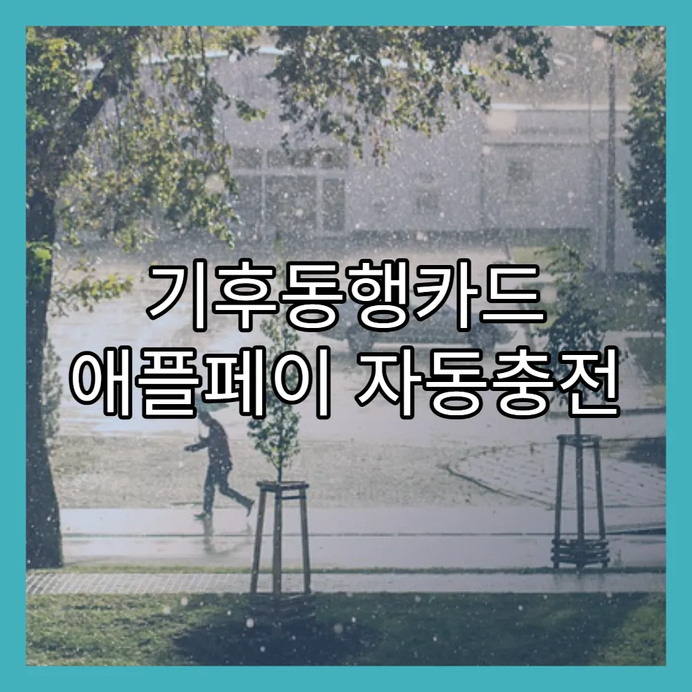 기후동행카드 애플페이 자동충전 세팅(+티머니, 결제방식)