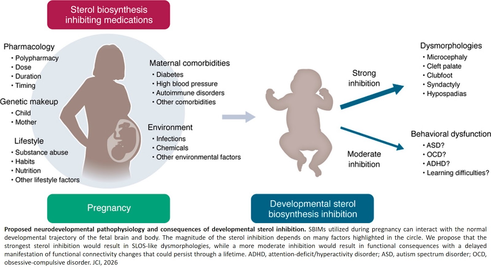 Brain development risks associated with certain medications during pregnancy