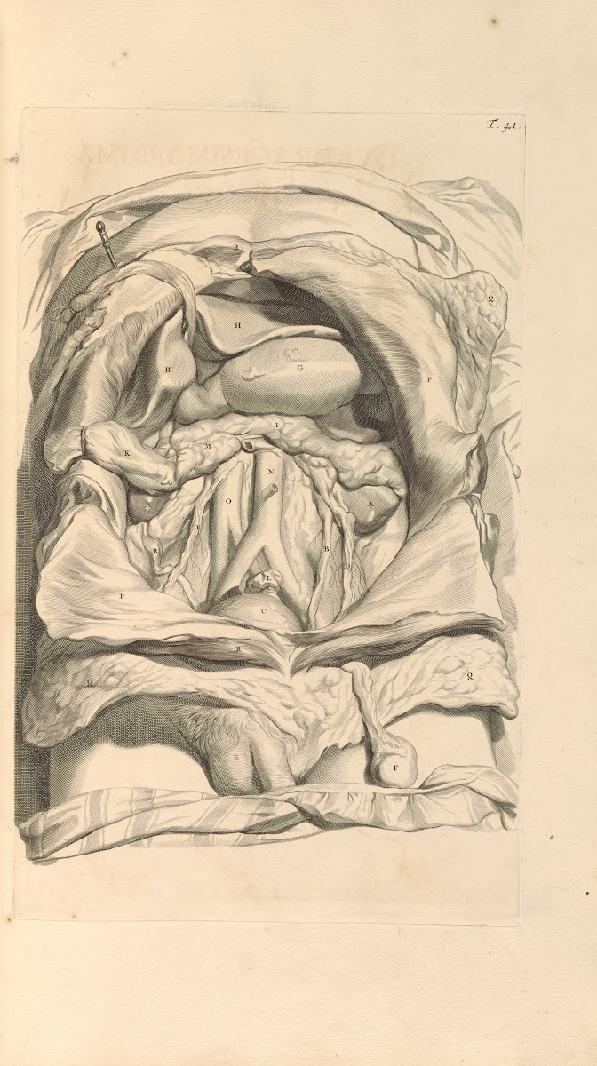 Anatomia humani corporis Pl042 1685