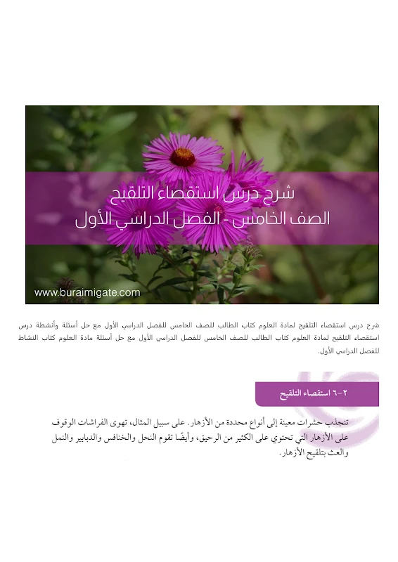 صورة الغلاف