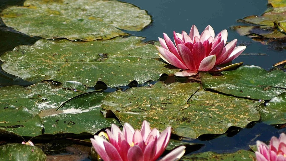 클로드와 챗GPT 성능 및 활용도 비교