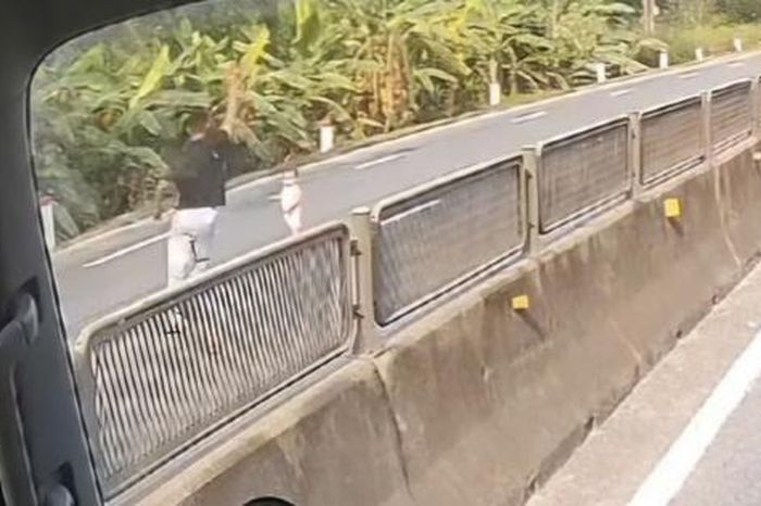 Video khoảnh khắc tài xế băng qua làn ngược chiều cứu cháu bé khỏi tình huống nguy hiểm - Báo Sức Khỏe &amp; Đời Sống