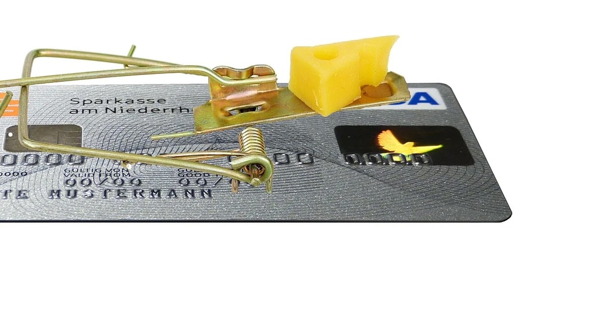 신용대출과 담보대출 구조별 금리 산정과 조건 차이 분석