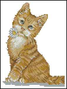 CMP 400062 Ginger
