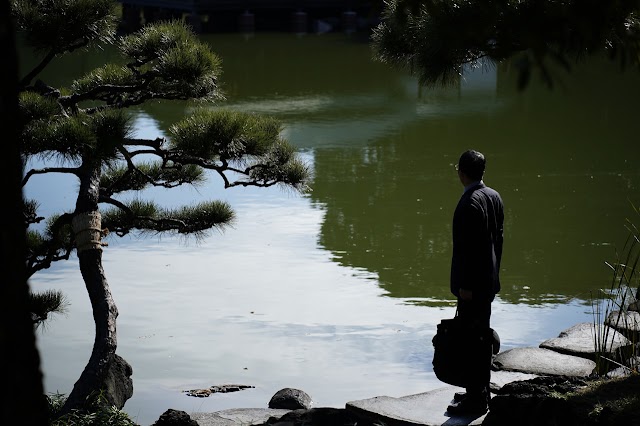 Japan Sole Proprietorship vs Company: When a Foreign Professional Should Incorporate a KK or GK