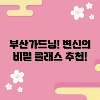 부산가드닝클래스, 봄 식물, 2023 가드닝 트렌드, 초보자 가드닝, 실내 식물 관리