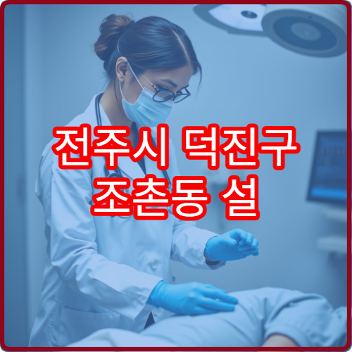 전주시 덕진구 조촌동 설 연휴 가정의학과 병원 운영 정보
